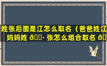 姓张后面是江怎么取名（爸爸姓江妈妈姓 🌷 张怎么组合取名 🦋 ）